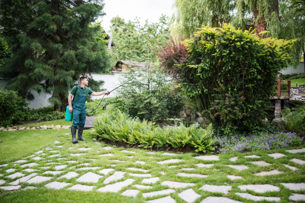 Best Emergency Pest Control  in Crystal Lawns, IL
