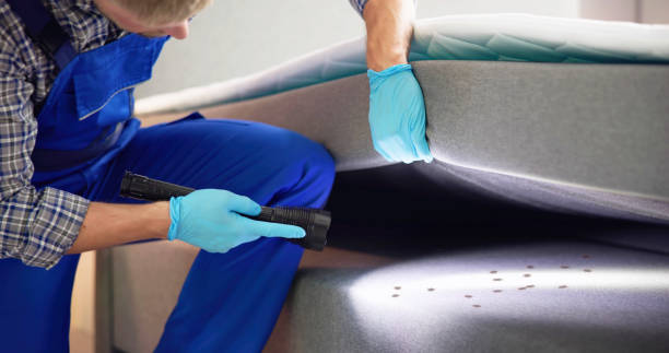 Best Insect Control  in Crystal Lawns, IL