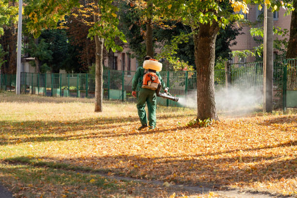 Best Pest Removal Services  in Crystal Lawns, IL