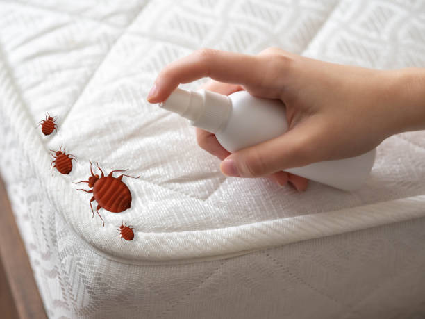 Pest Control Cost in Crystal Lawns, IL