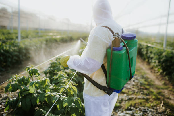 Best Local Pest Control Services  in Crystal Lawns, IL